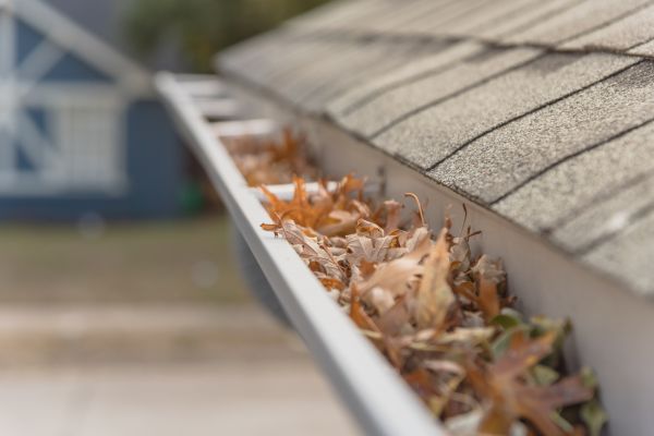 Leaf Barrier Installation in Burlington